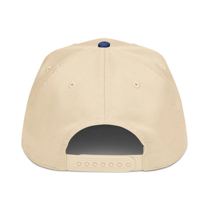Windy City 5-panel cap in royal and natural, back view